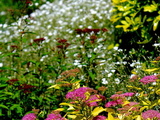 Jardin, ma belle thérapie