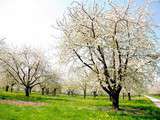 Jour de printemps