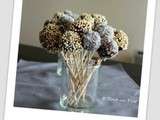 Cake Pops…. après la vague