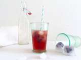 Sirop au baies d’Aronia