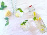 Virgin Mojito menthe-citron