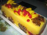 Bûche glacée mangue, framboises et nougatine