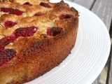 Gâteau coco framboise rhubarbe