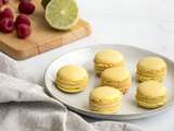 Macarons jardin enchanté (citron vert et framboise)