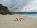 Bonne année