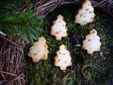 Biscuits sablés à l'orange confite et au Cointreau, une petite forêt de saveurs