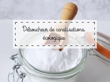 Déboucheur de canalisations écolo [diy]