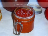 Ketchup maison de Loubna