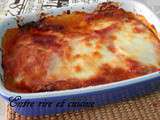 Aubergines Alla Parmigiana