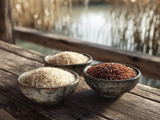 Riz de Camargue dans la cuisine : traditions, variétés et idées gourmandes