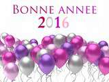 Bonne année 2016