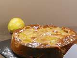 Gâteau aux prunes et aux épices