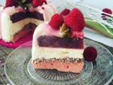 Entremet Vanille, rhubarbe et framboise | Recettes de cuisine gourmandes healthy | Epicure