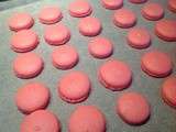 Macarons du jour