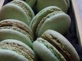 Macarons au kiwi