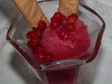 Sorbet aux groseilles