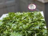 Chips de chou Kale