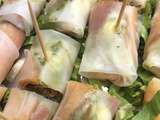 Rouleaux de printemps au melon- jambon de Parme