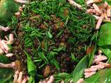 Salade de lentilles et pousses d’épinard