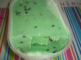 Glace à la menthe et pépites de chocolat