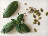 Pesto de basilic ou comment liquider le basilic du jardin