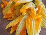 Beignets de fleur de courgette