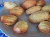 Madeleines