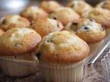 (ou) Muffins