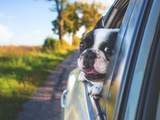 Comment choisir une nouvelle voiture familiale