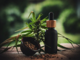 Tout sur le cbd et ce que les parents doivent savoir