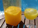 Orangeade (Thermomix)