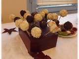 Cake Pops Nutella/Speculos