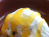 Glace à la vanille au yaourt maison : une recette onctueuse, légère et facile