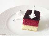 Premier entremet aux fruits rouges