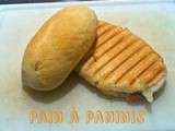 Pain à paninis