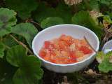 Salade estivale d’agrumes