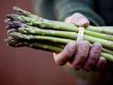 Tarte aux Asperges Vertes