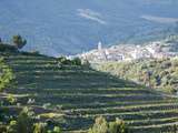 Bons plans découvertes dans le Priorat en Catalogne