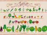 Fruits et légumes de Juillet