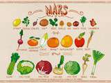 Fruits et légumes de Mars