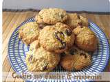 Cookies aux cranberries et son d'avoine