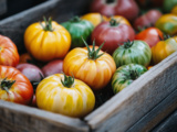 J’ai trop de tomates, que faire avec ? 10 idées gourmandes