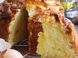 Gâteau aux pommes extra moelleux et très haut