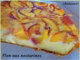 Flan aux nectarines