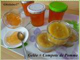 Gelée de Pomme 2019 + compote