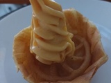 Crème glacée pêche et abricot avec la swirl Ninja