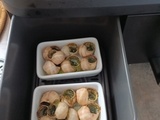 Escargots frais du traiteur à l'air fryer Ninja AF400eu
