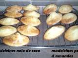 Madeleines à la noix de coco ou poudre d'amandes (thermomix)