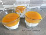 Panna cotta allégée mangue au compact cook pro