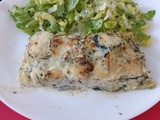 Ravioles aux courgettes avec le combi Ninja